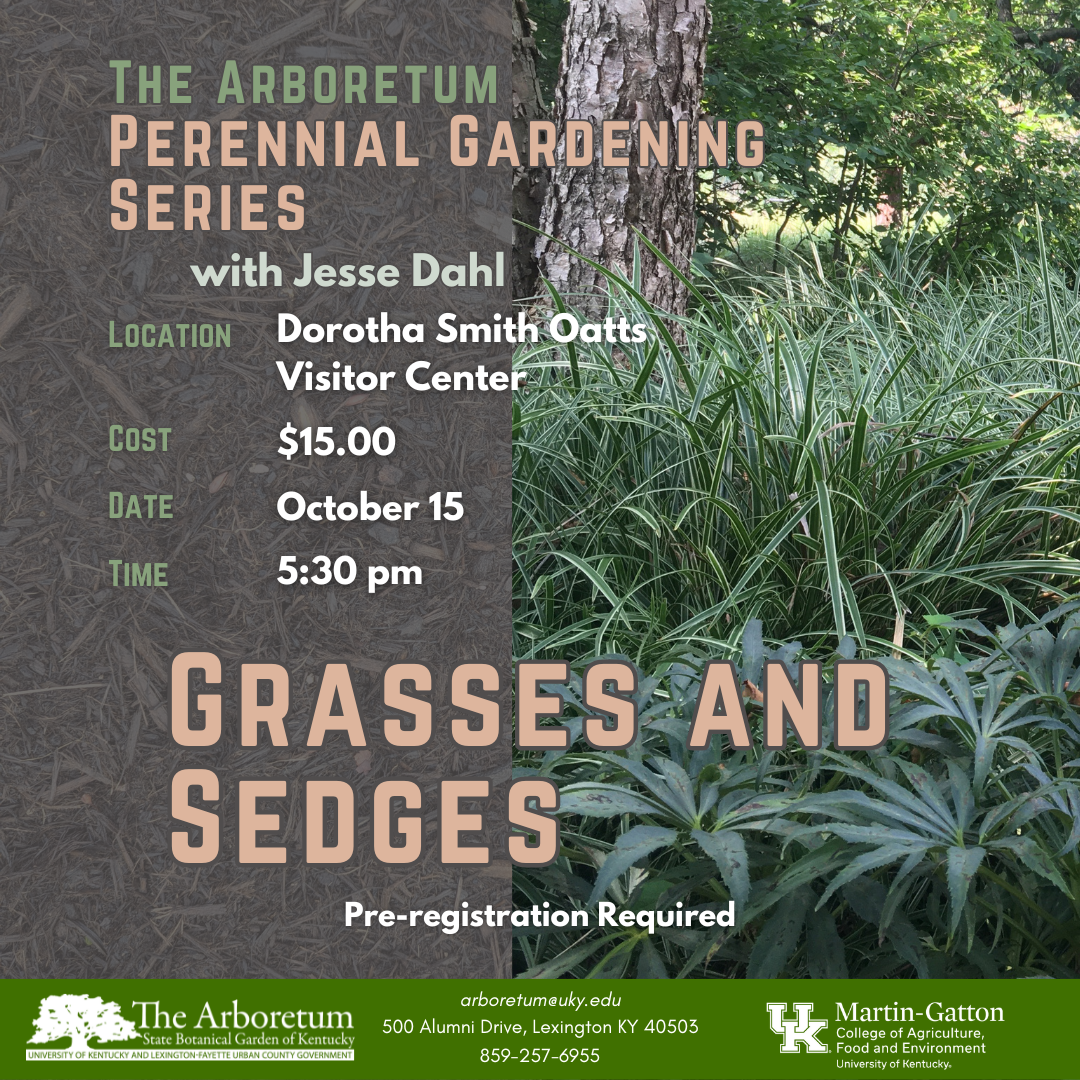 Perennial Garden Series - Grasses and Sedges