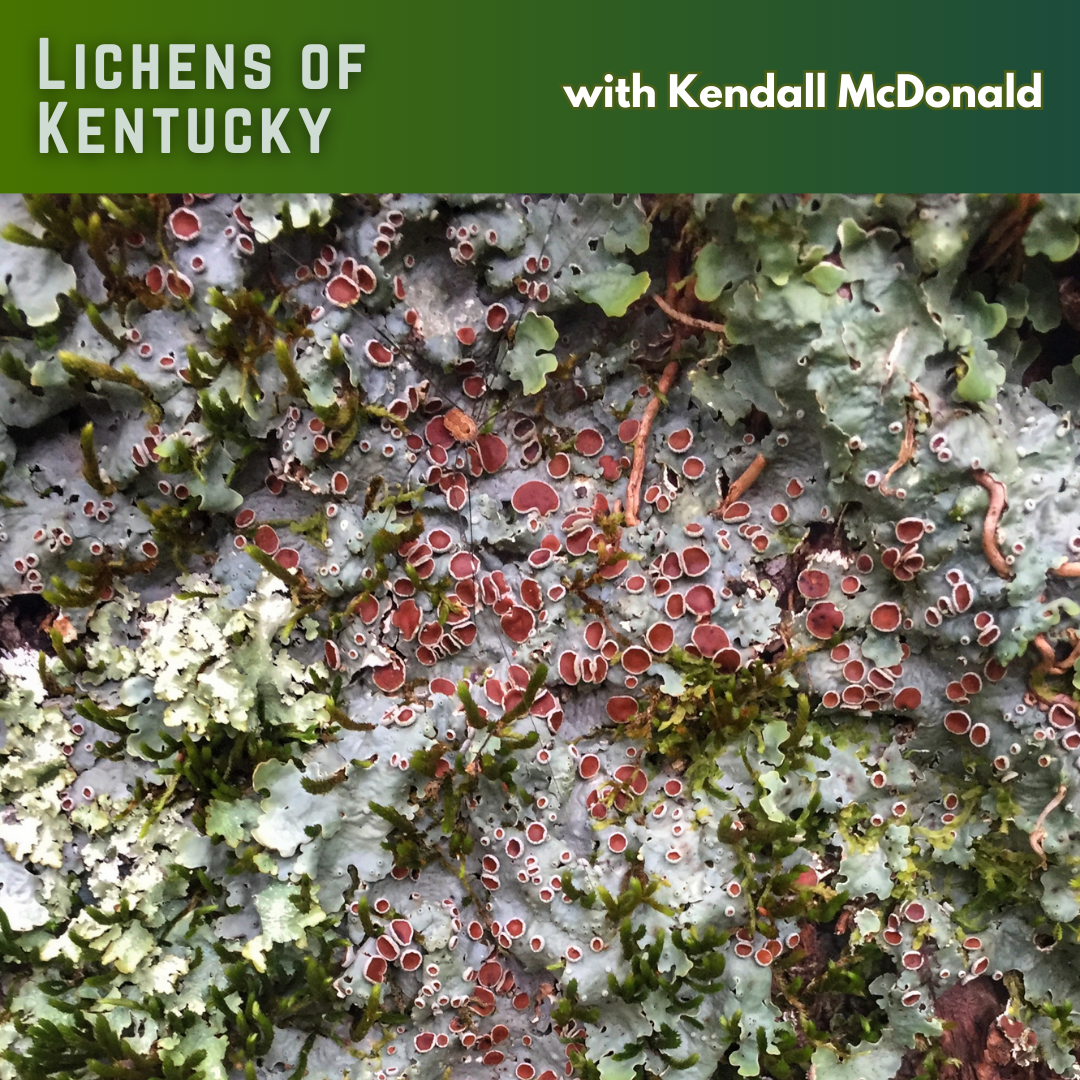 Naturalist Series - Lichens of Kentucky