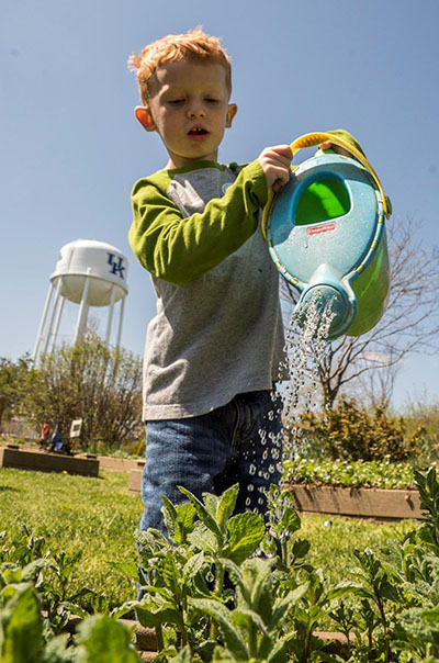 A boy watering plants at the Kentucky Children's Garden
