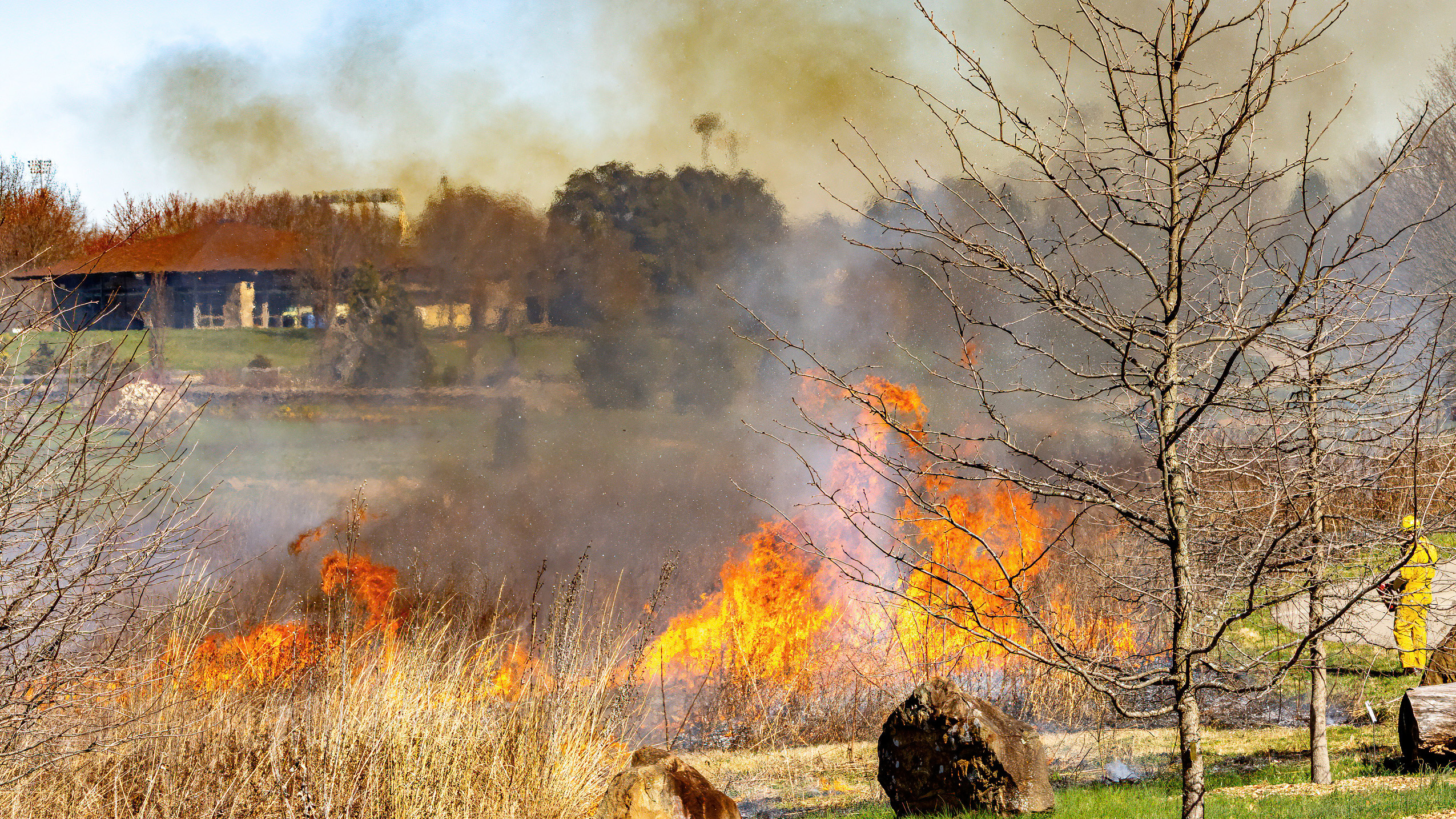 Prescribed fire at The Arboretum. Photo by Ward Ransdell.