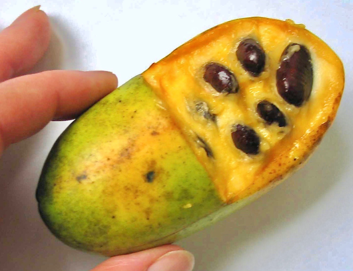 Ripe Pawpaw