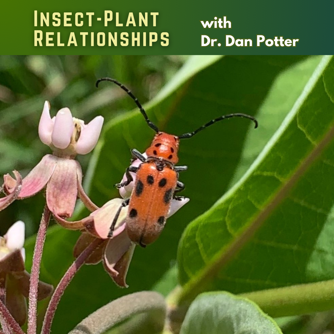 Plant-Insect Relationships 7-11-24