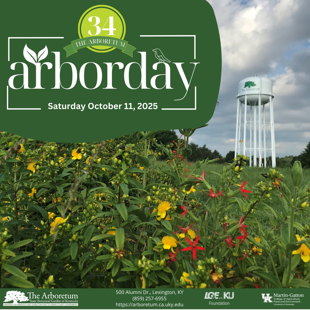 Arbor Day October 11