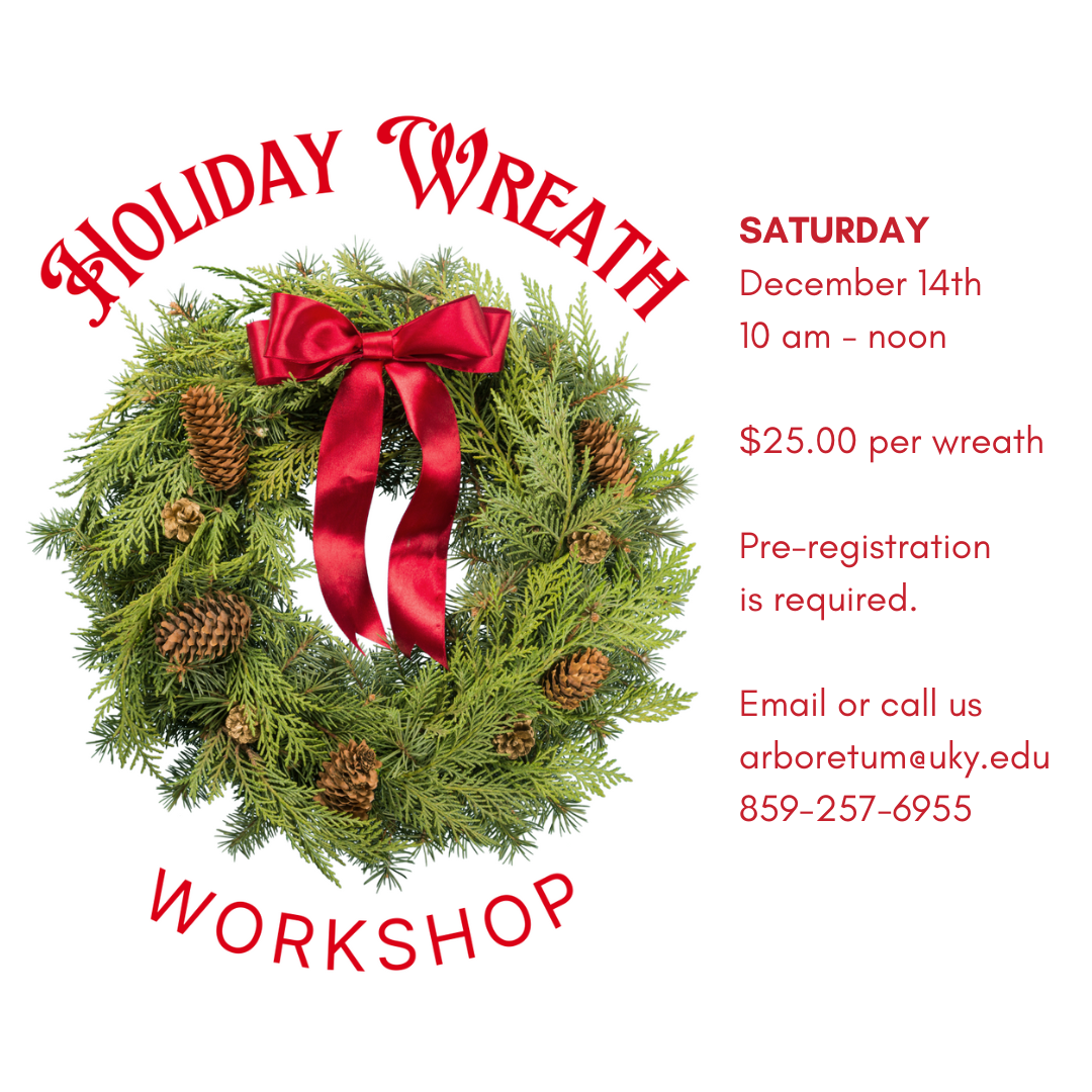 Holiday Wreath Workshop Dec 2024