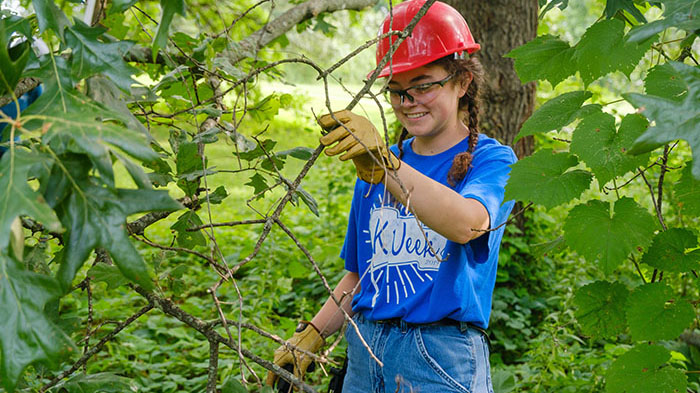 An intern works with trees in The Arboretum
