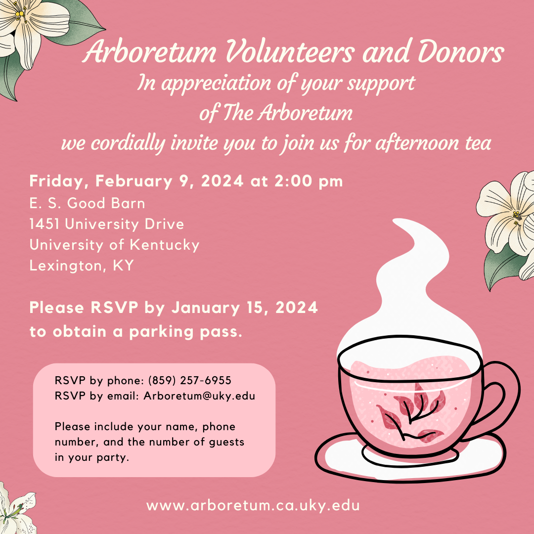 Pink graphic with a teacup inviting volunteers and donors to an afternoon tea event February 9, 2024