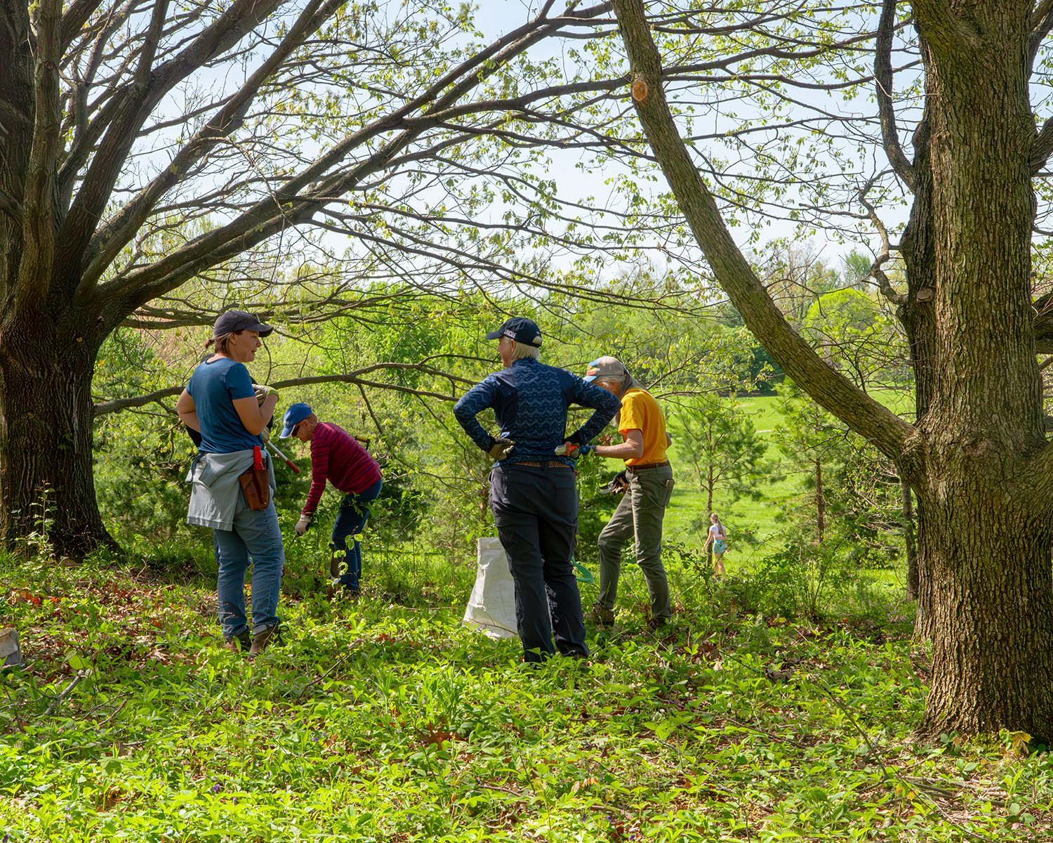 Curator with Volunteers maintaining plant collection