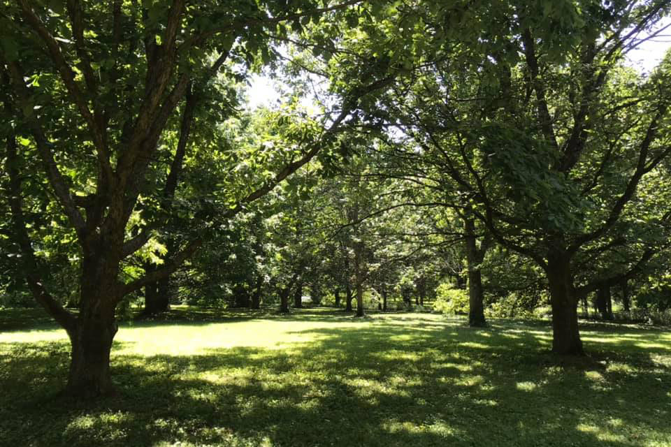 The Bluegrass region at The Arboretum