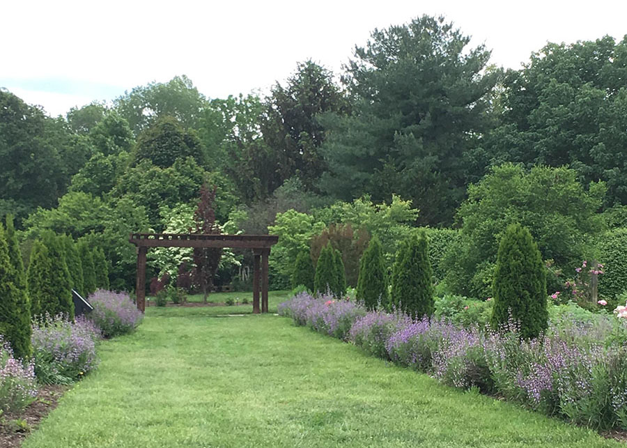 Flowers in the Fragrance Garden