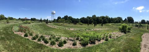 A wide-angle view of the Perennial Teaching Garden
