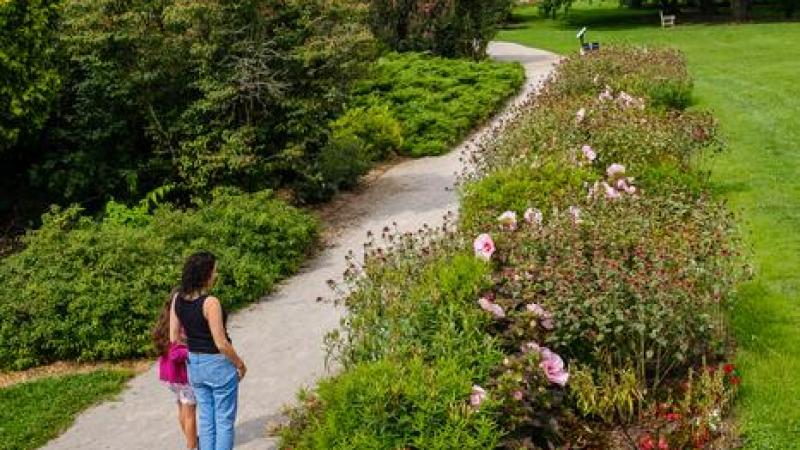 People looking at flowers and walking at the UK Arboretum