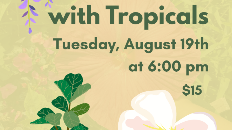 Gardening with Tropicals