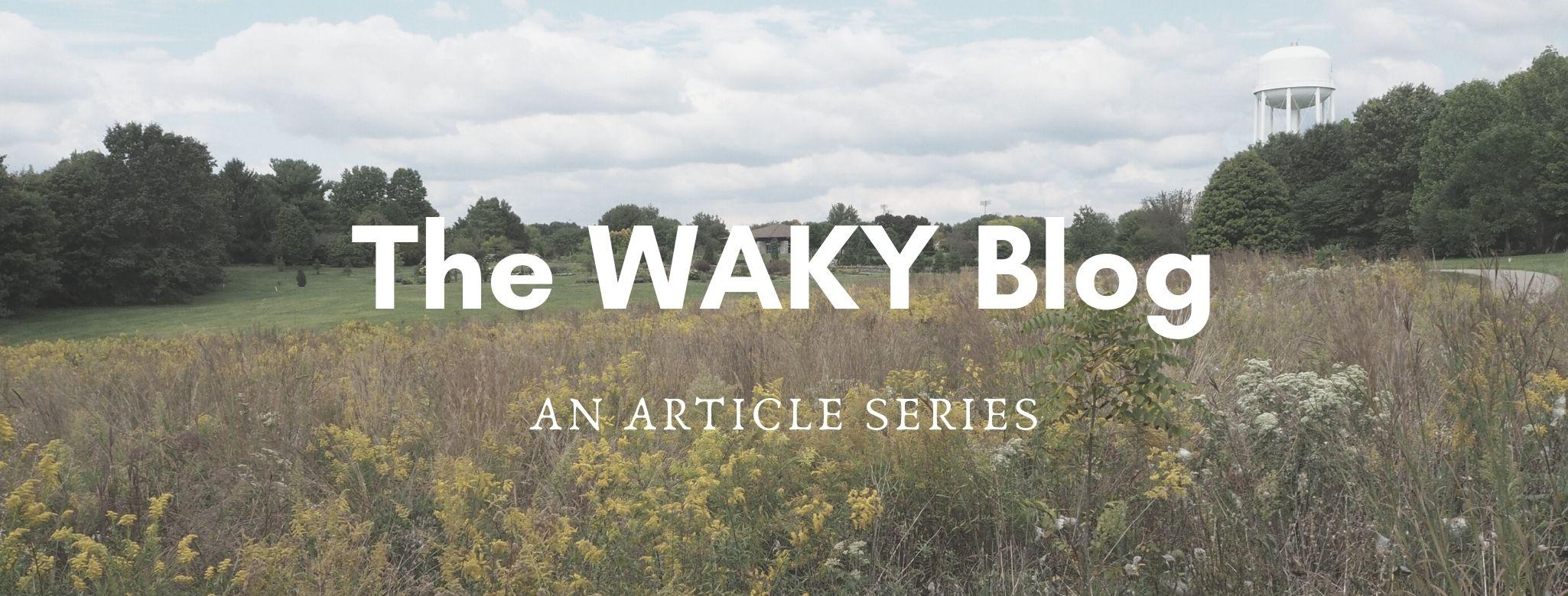 A field superimposed with the words The WAKY Blog: An Article Series